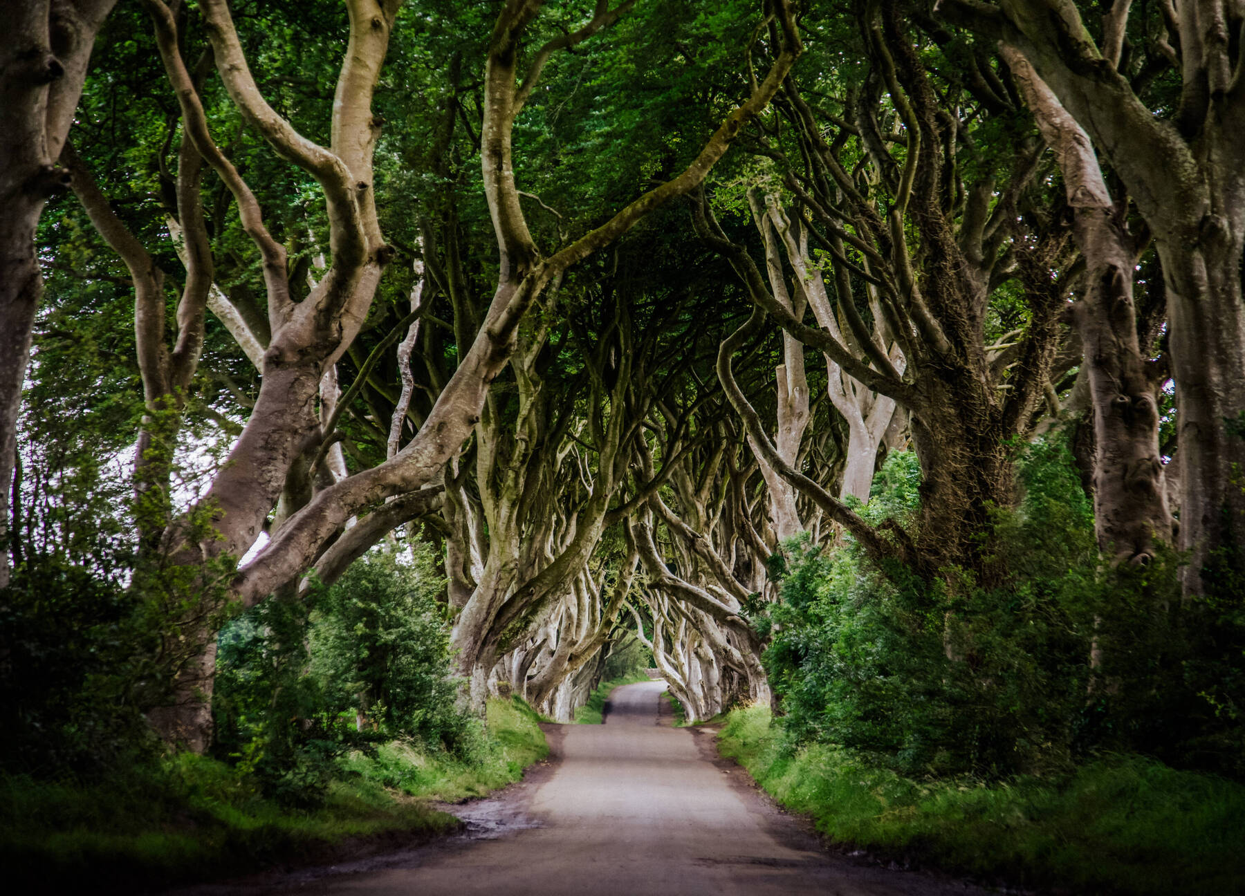 Wild about Westeros? Discover Northern Ireland