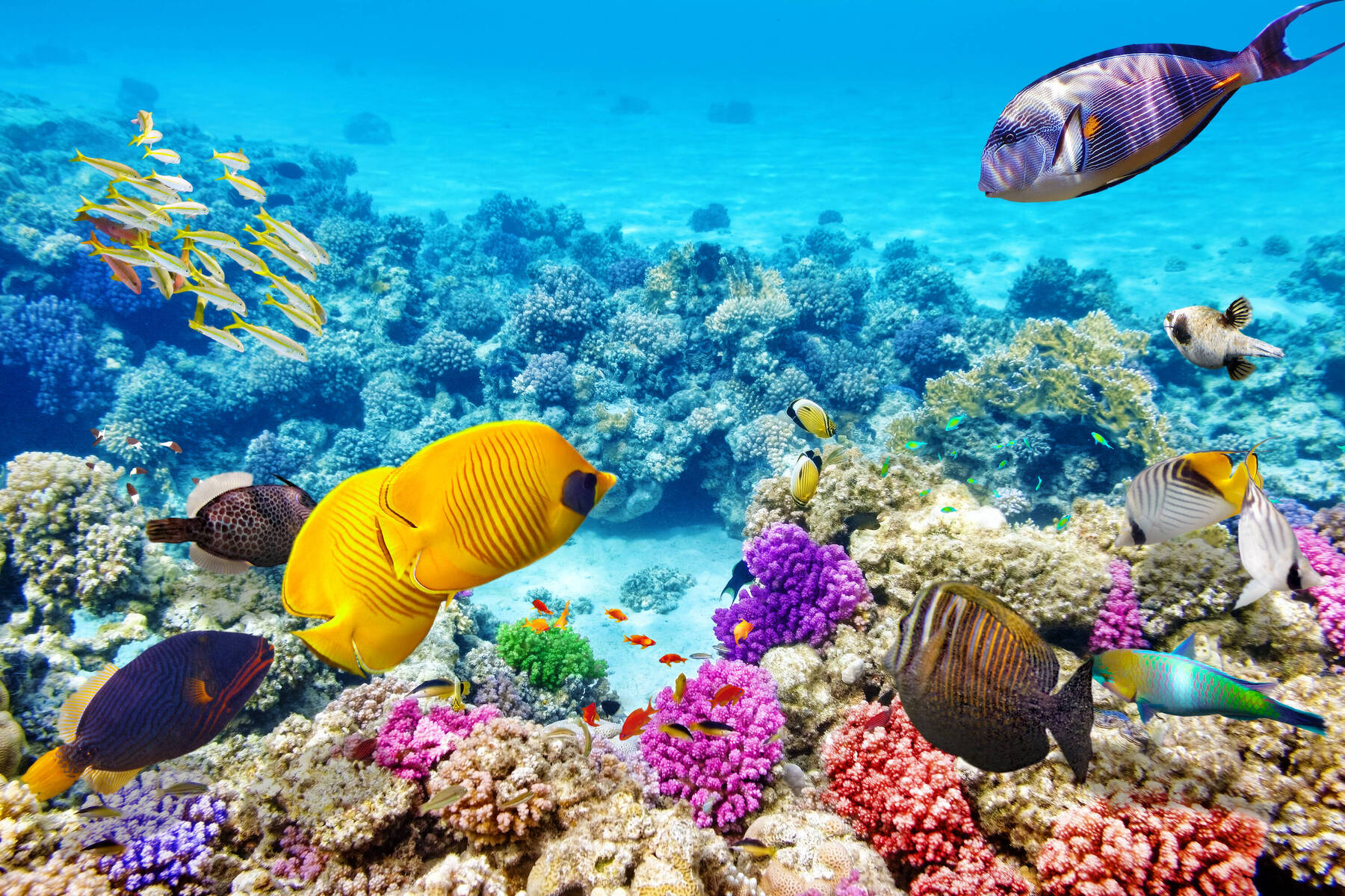 6 of the Best snorkelling spots in Southeast Asia