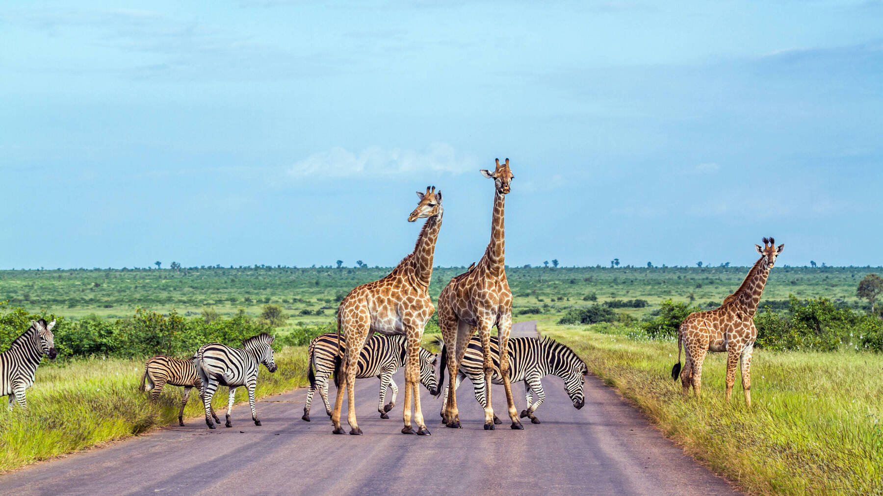10 Luxury Game Reserves & Safaris in South Africa