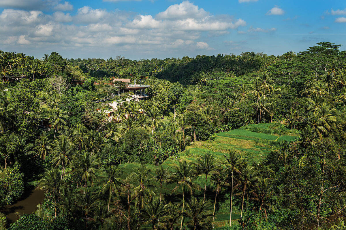 Four Seasons Resort Bali At Sayan