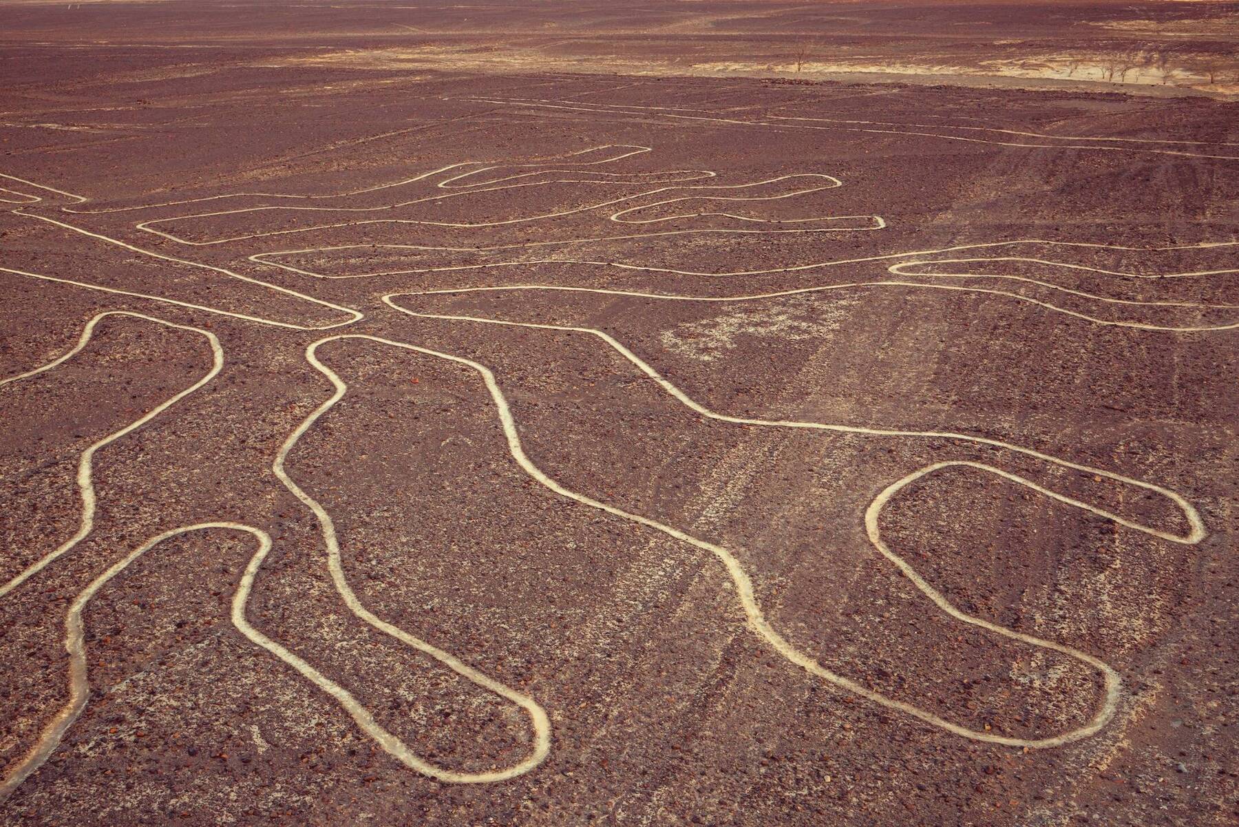 Ancient Sights of the Nazca Desert