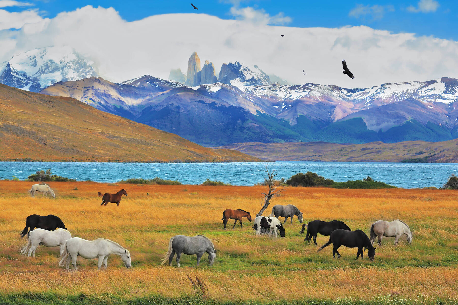 The Best Things to Do in Chilean Patagonia