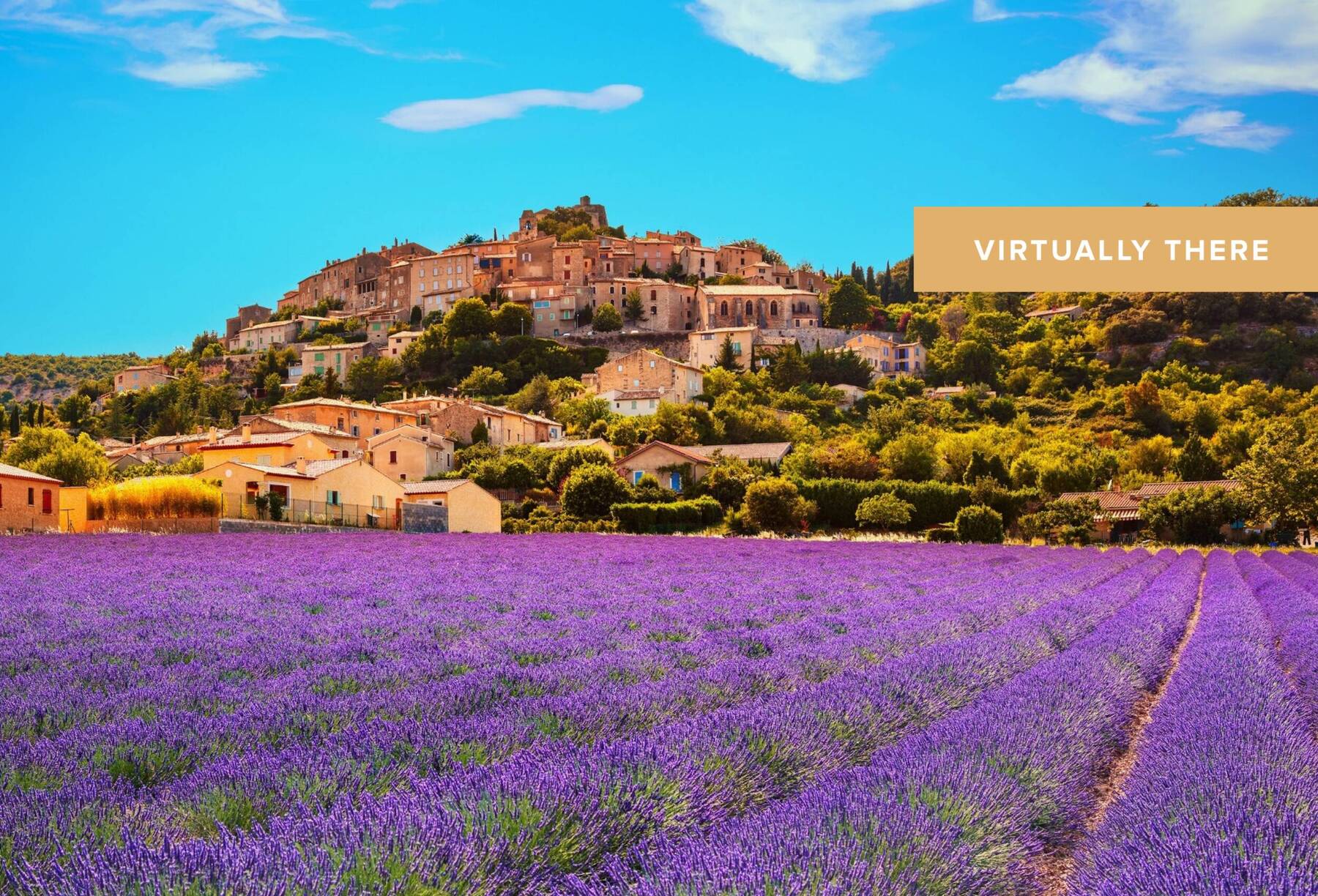 Where to go for a Taste Tour of Provence