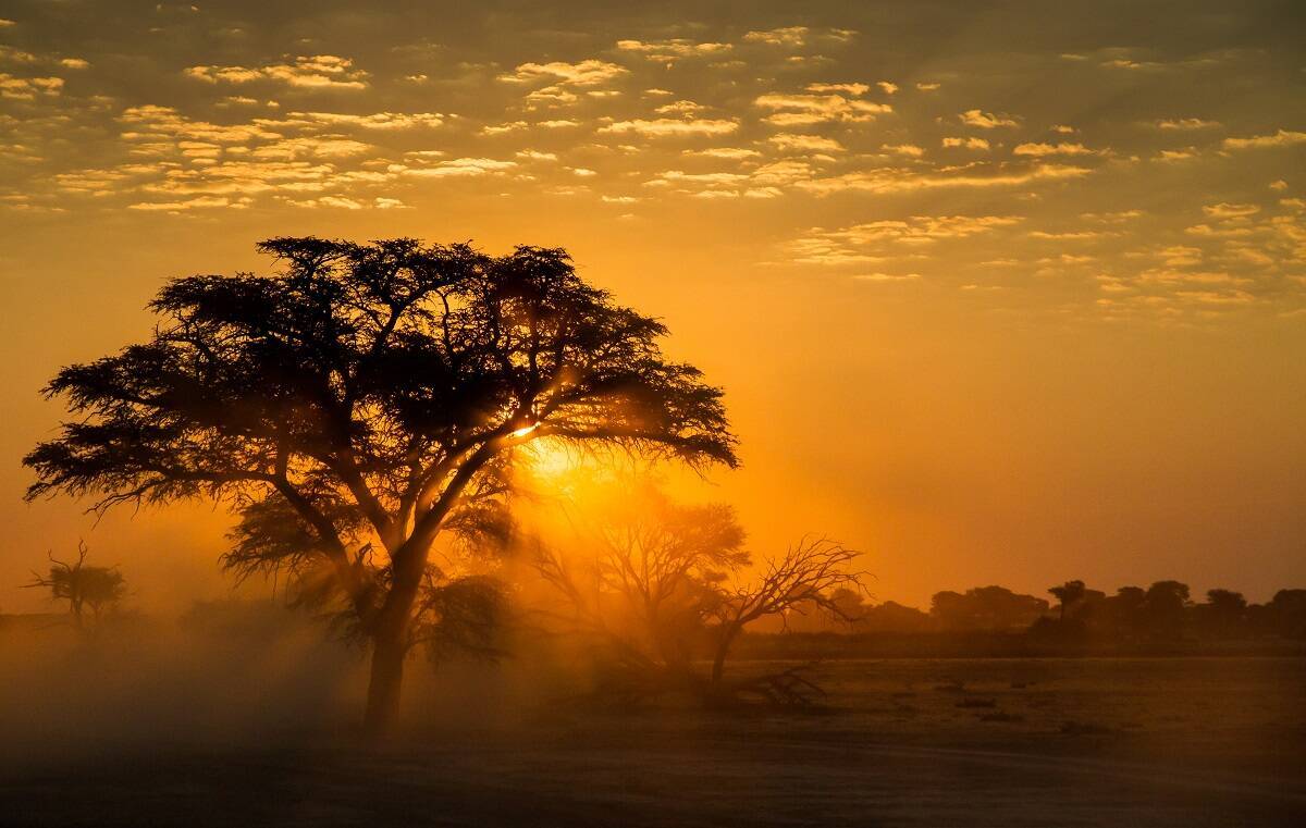 Botswana - Africa's Natural Wonderland