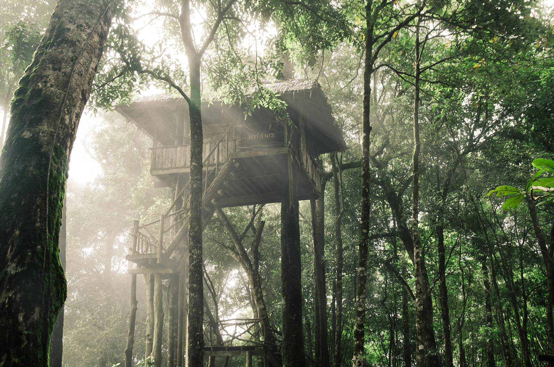 Treehouse holidays in Costa Rica