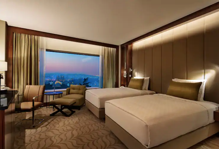 Twin Deluxe Room 