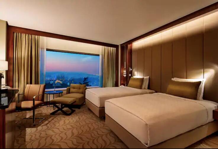 Twin Executive Room with Park View