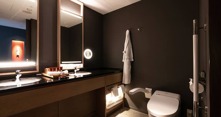 King Accessible Room