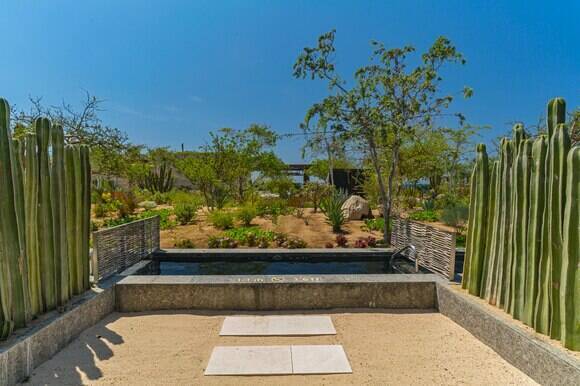 Plunge Pool Guest room, 1 King, Ocean view, Plunge pool