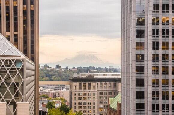 Fabulous Mountain View King Room