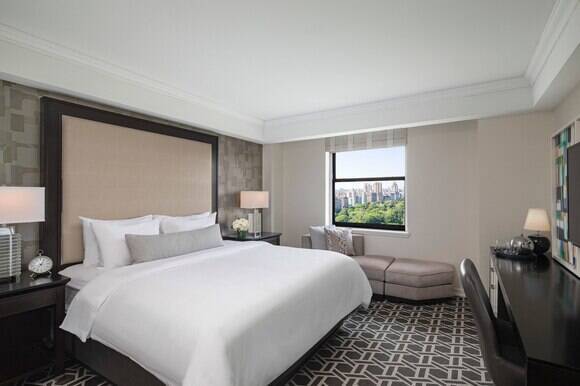 Central Park View Room Low Floor