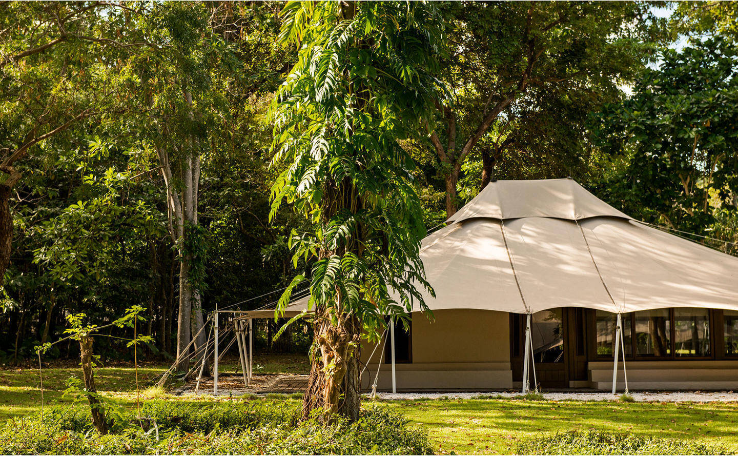 Jungle Tent
