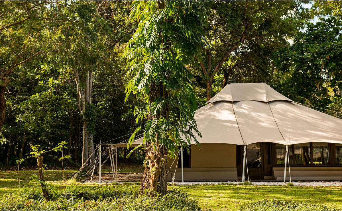 Jungle Tent