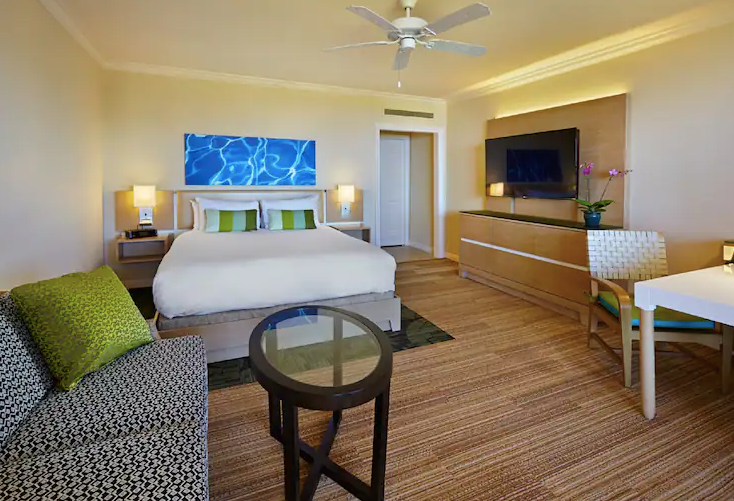 Garden View Accessible King Room 