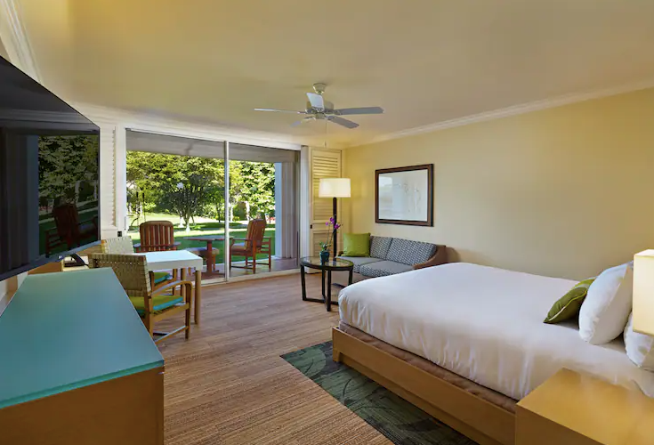 Garden View Accessible King Room 