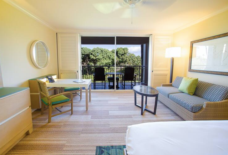 Napua Suite Mobility Access