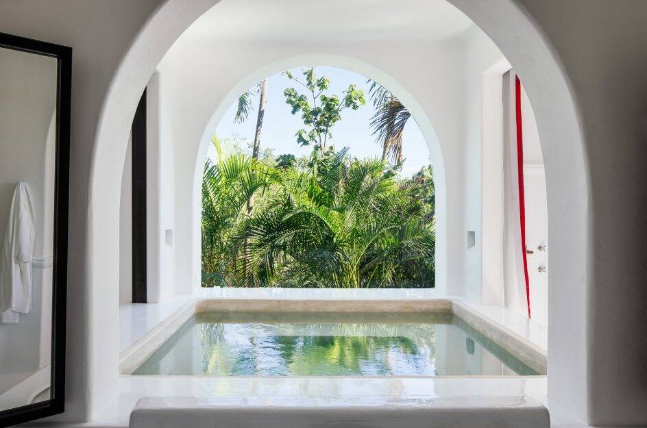 Jungle Plunge Pool Suite