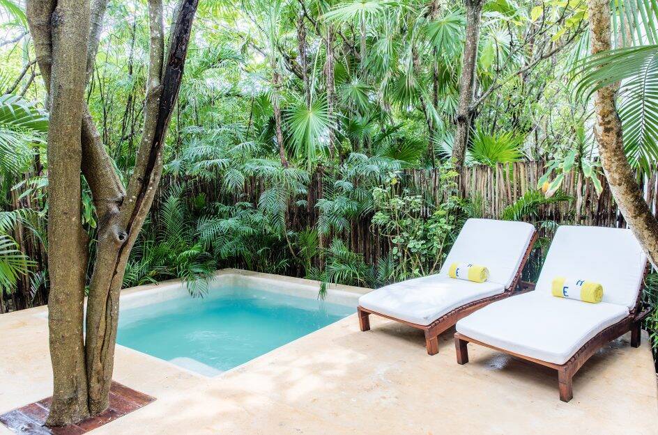 Jungle Plunge Pool Suite