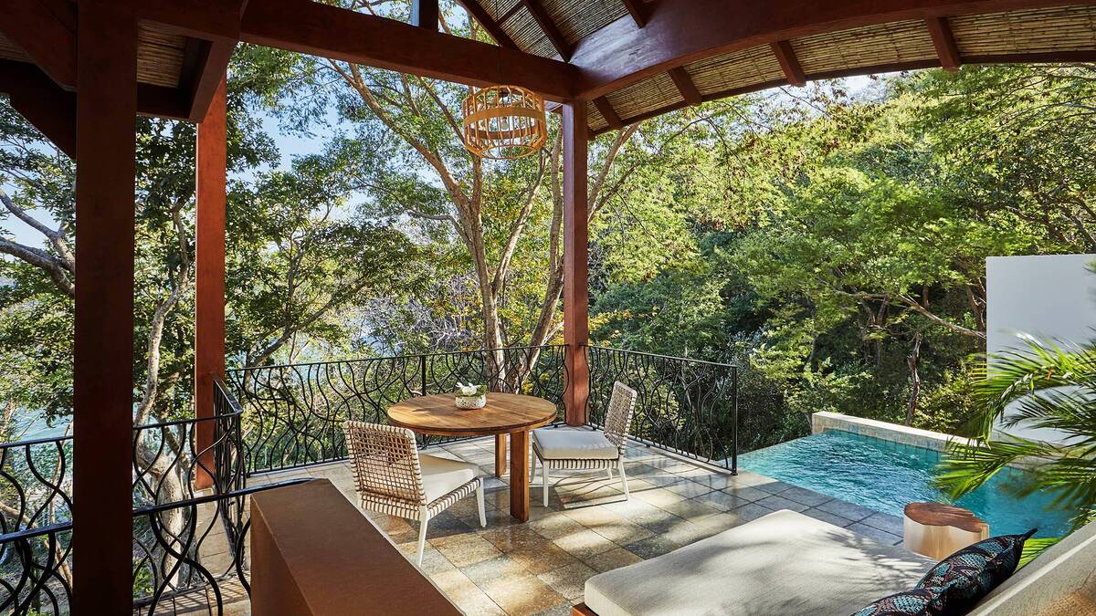 Canopy Suite - Forest or Bay View
