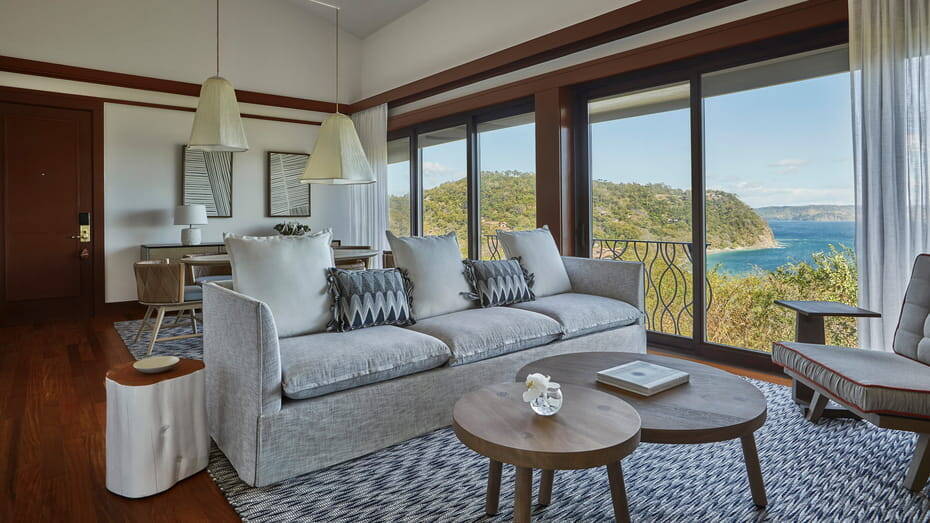 Canopy Suite - Forest and Bay View
