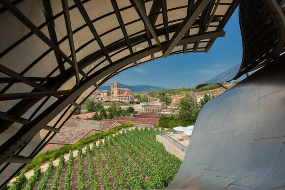 Premium Gehry Room, Elciego Village View