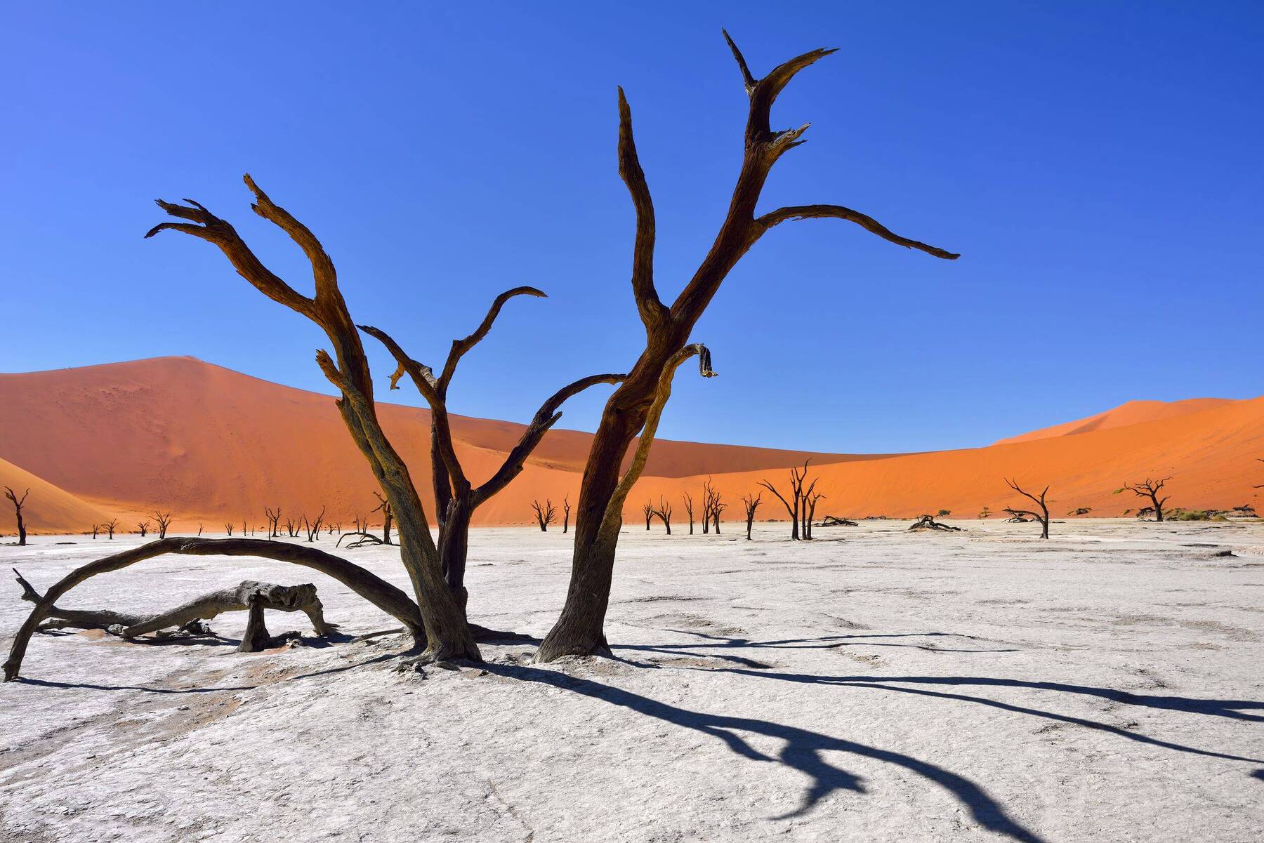 Soul-searching in the remote Namibian desert