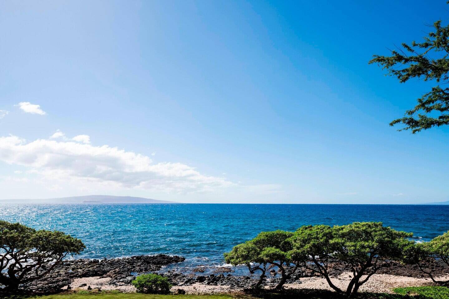 Oceanfront King Suite