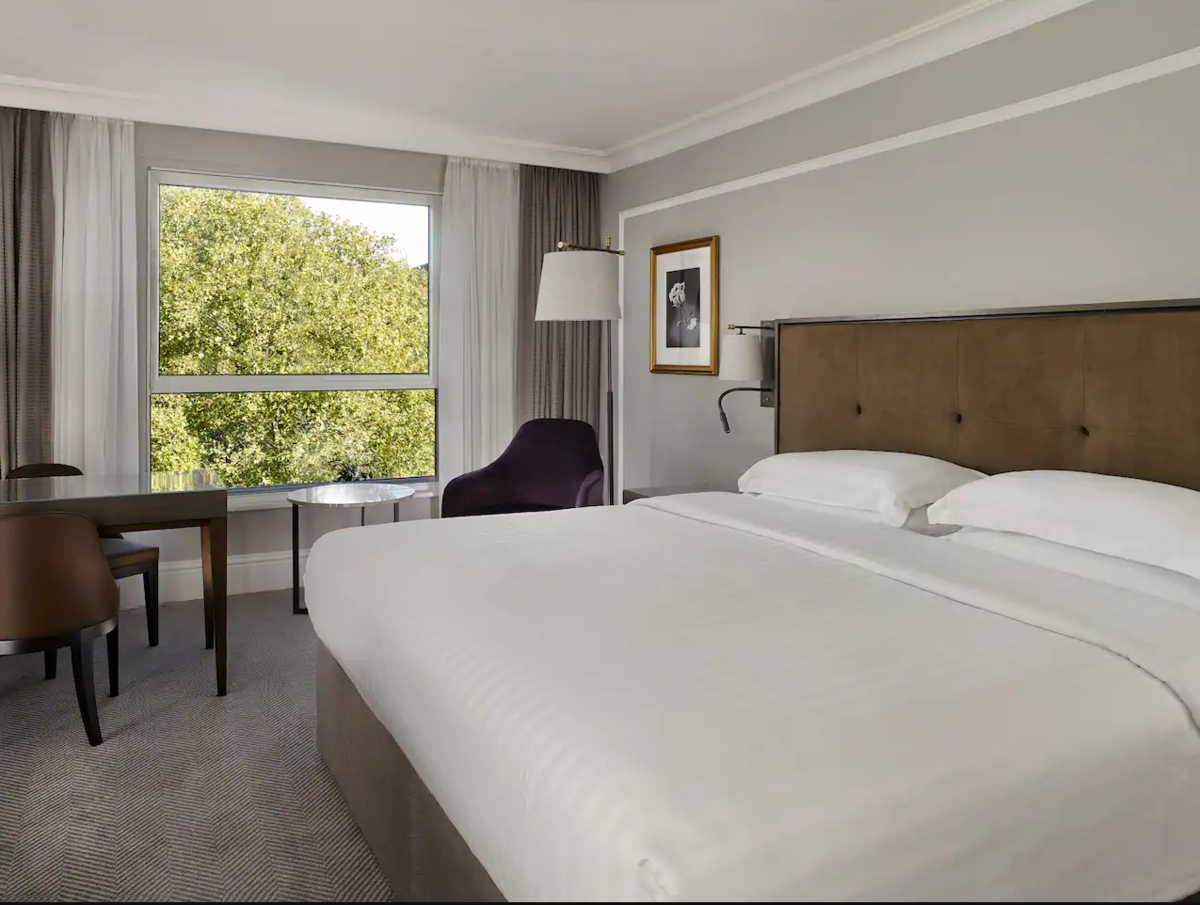 King Garden View Room