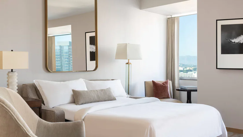 Executive Suite King