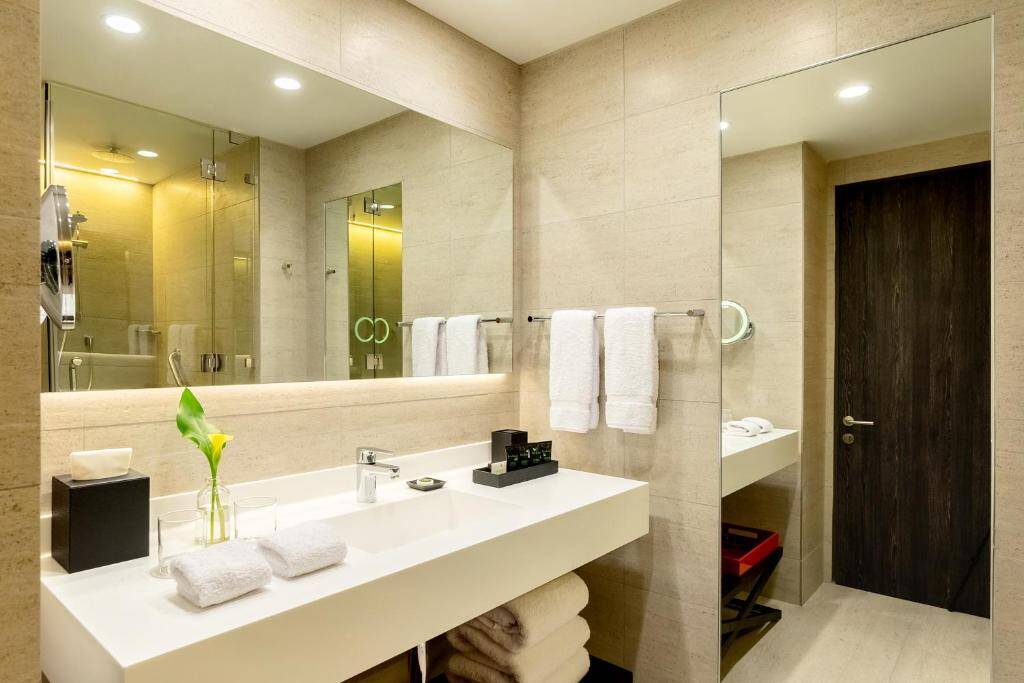 King Room ADA shower