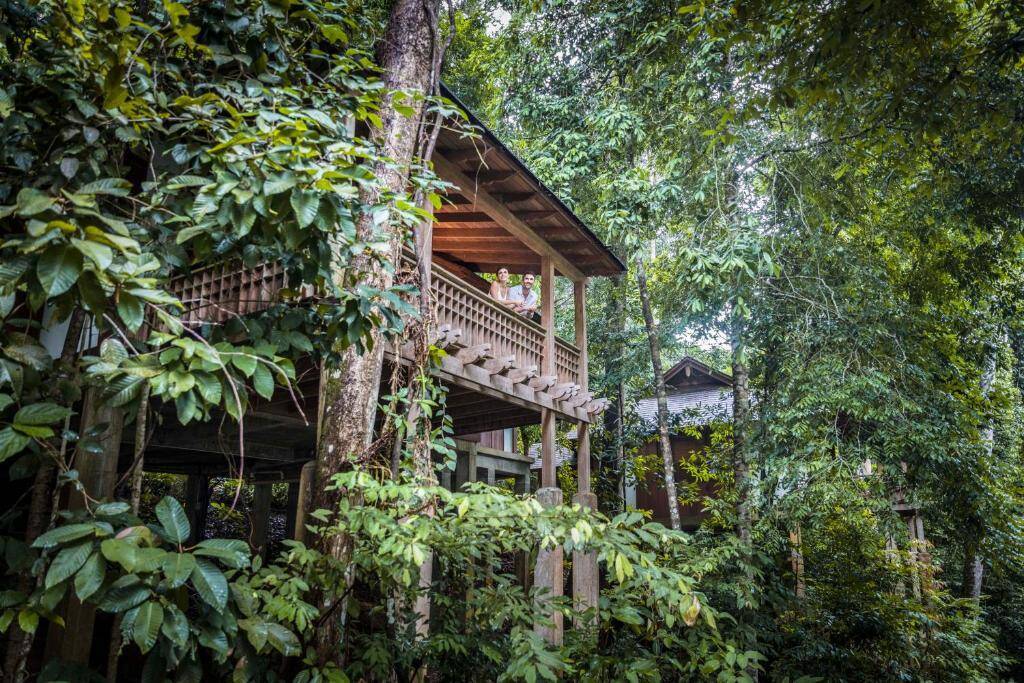 Rainforest Premium Villa King