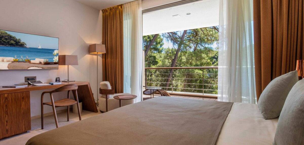 Premium Room Park View