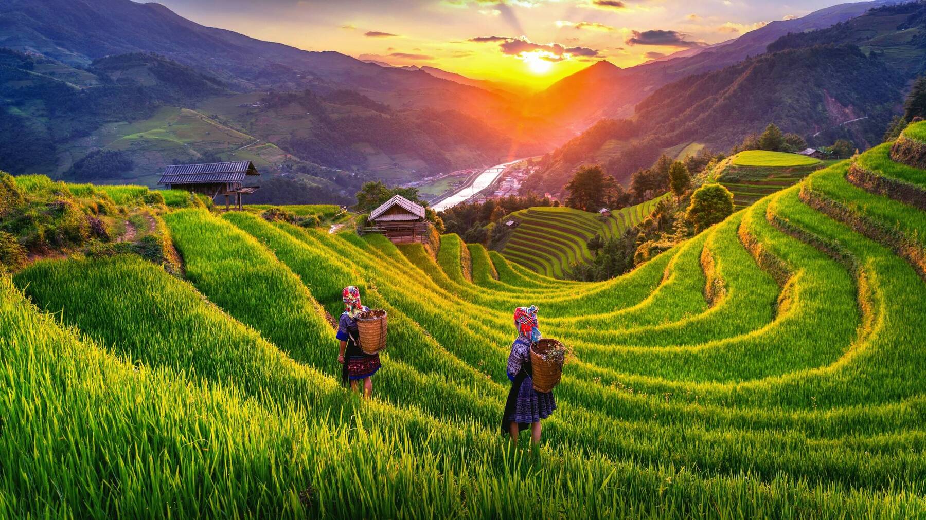 Vietnam - The Land of the Ascending Dragon