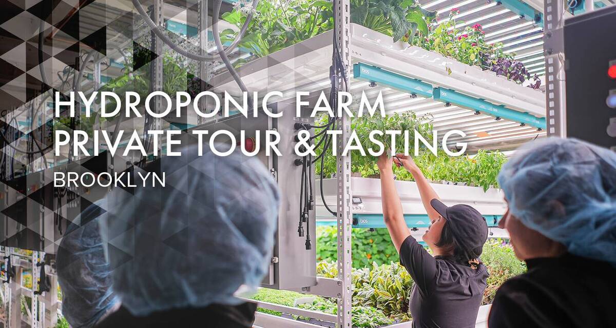 Hydroponic Farm Private Tour & Tasting