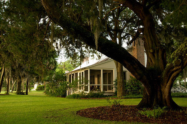 Forest View Cottage