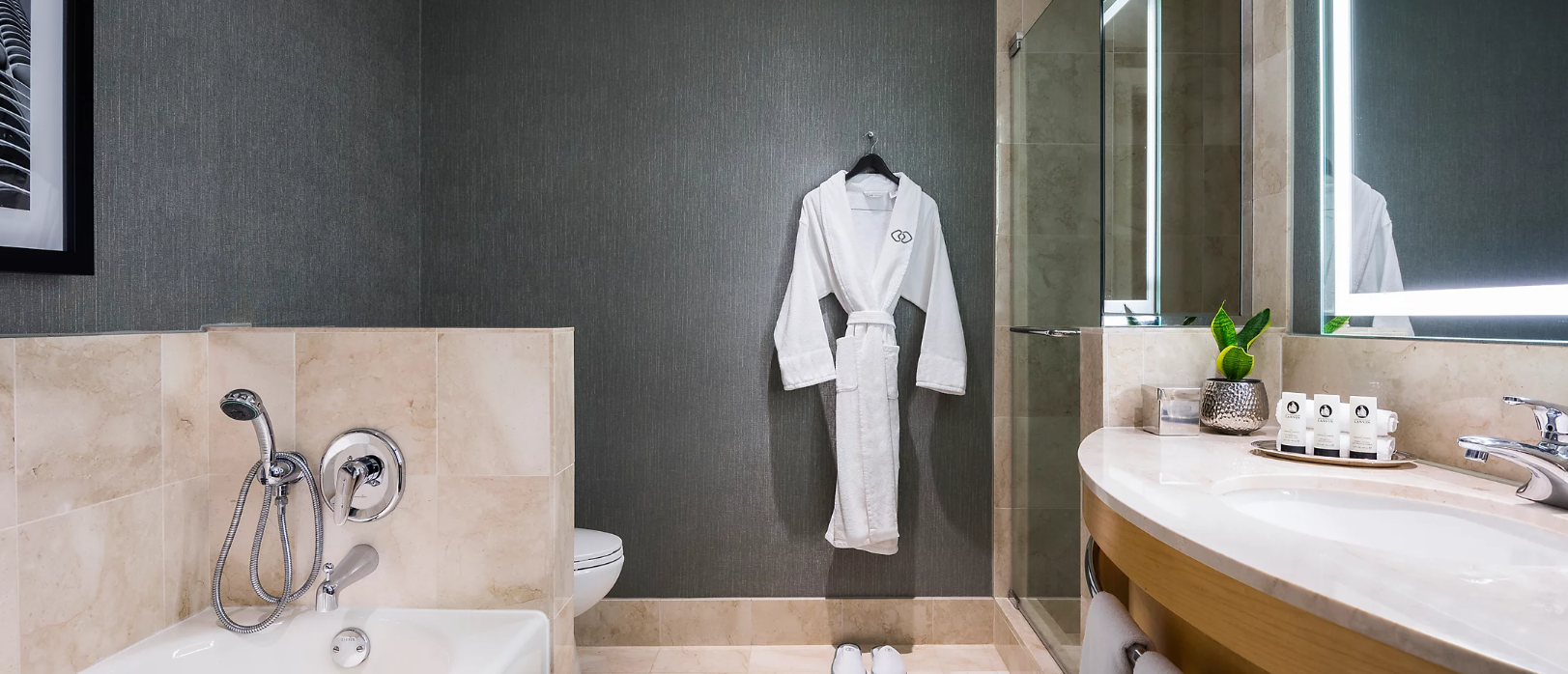 Luxury One King Accessible Tub