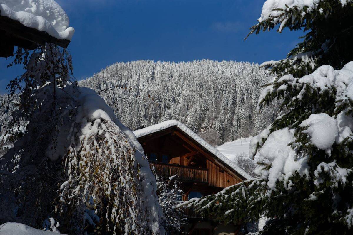 Baltus Five Bedroom Chalet