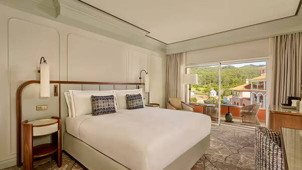 Deluxe Natural Park View Room