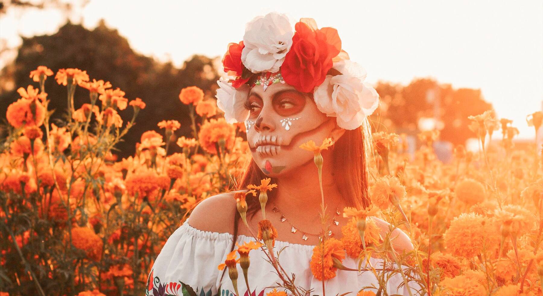 Explore the Rich Traditions of Día de Muertos 