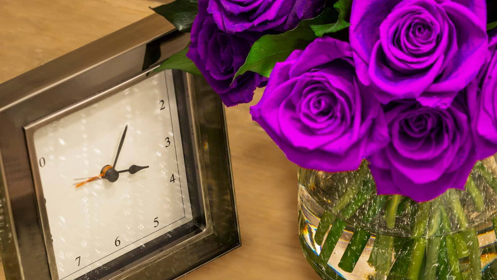 Manhattan Junior Suite Park View