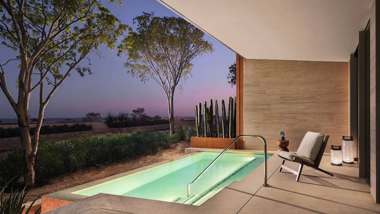Premier Suite Partial Ocean View with Plunge Pool and Patio