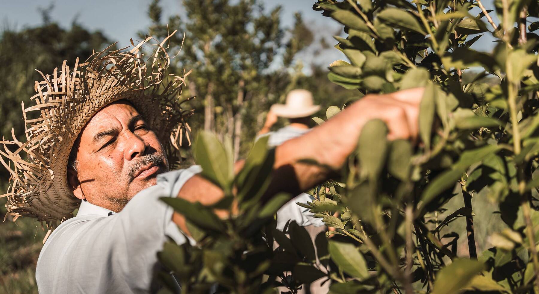 Mate Tea-Making Traditions in Argentina