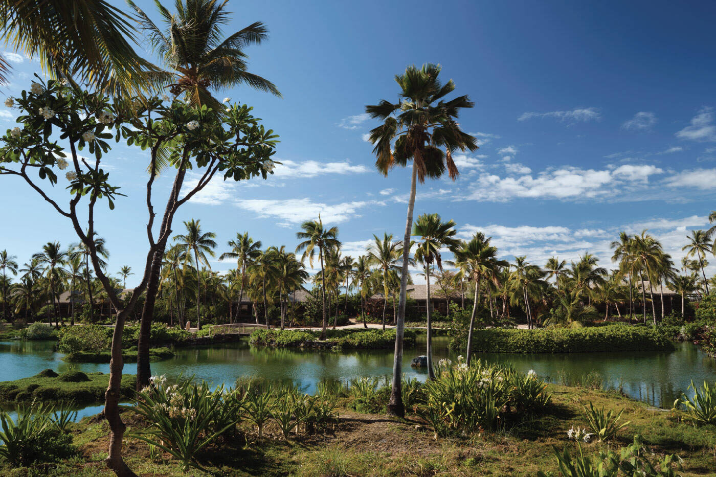 LAGOON VIEW ONE BEDRROM KAUHALE