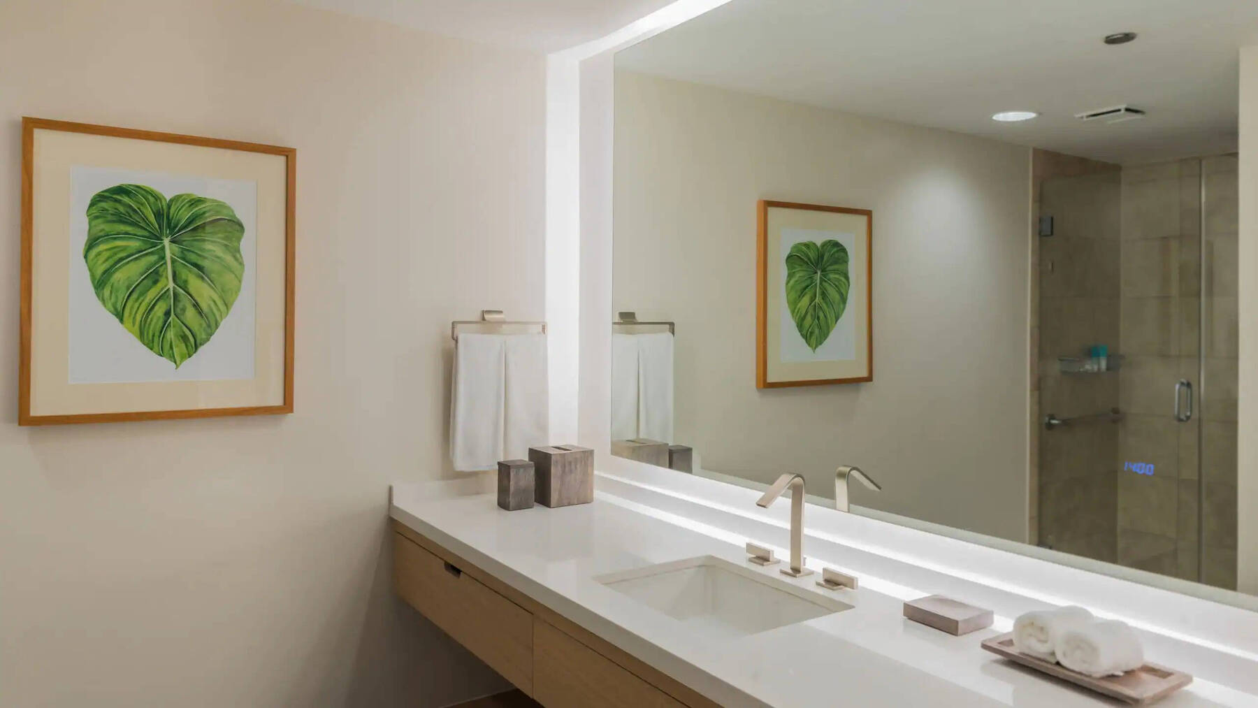 Palm Suite