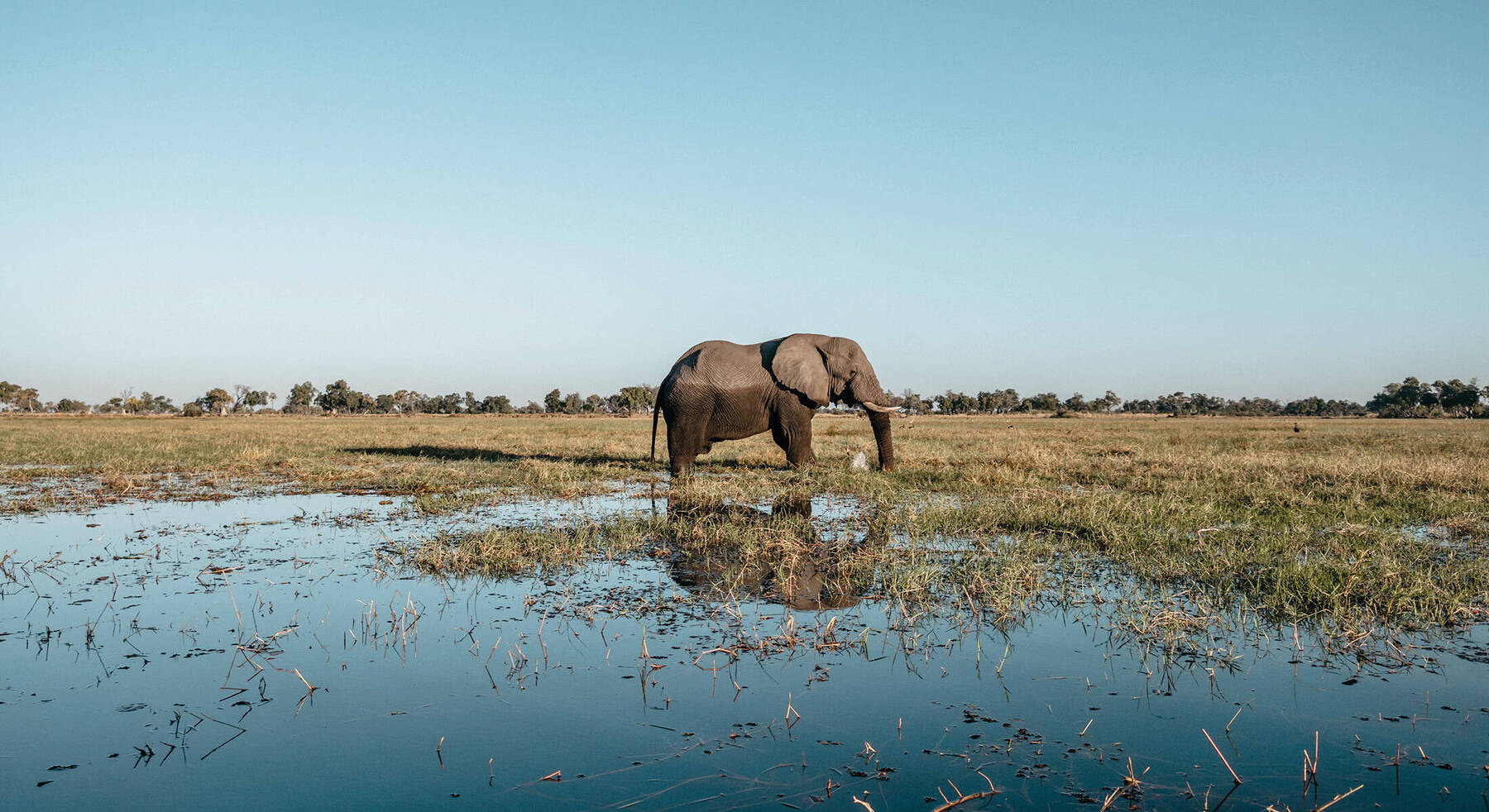 Botswana Family Adventure 