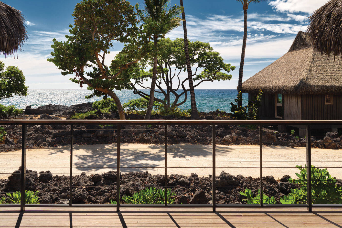 OCEAN VIEW ACCESSIBLE KING HALE
