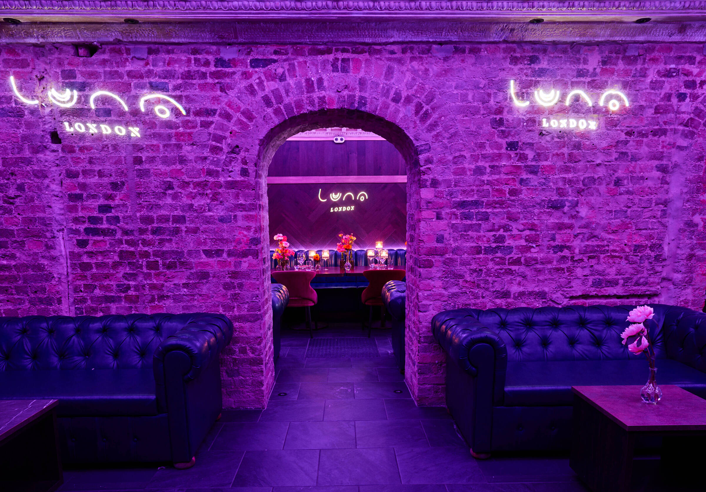 Moonlit Nights Out
