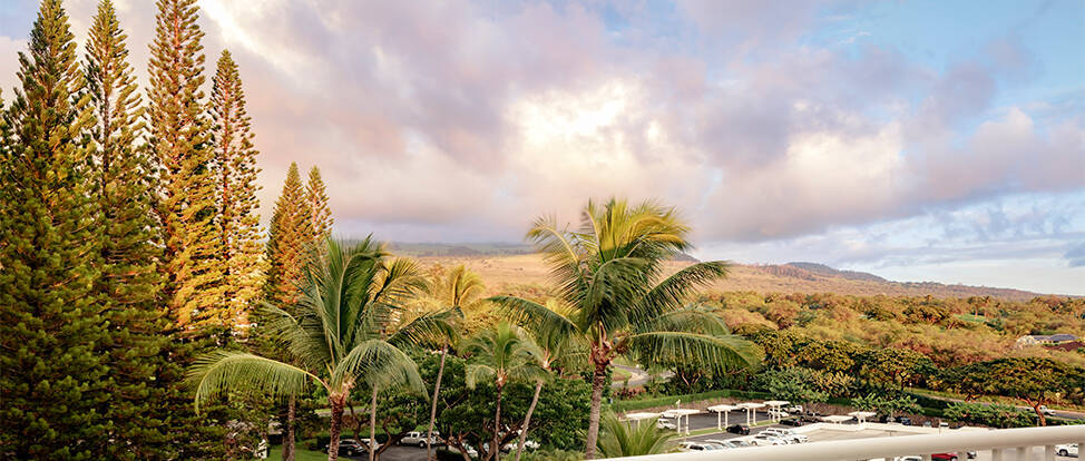MOUNTAINSIDE SUITE TWO DOUBLES ACCESSIBLE TUB