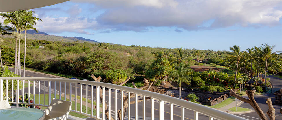 MOUNTAINSIDE SUITE KING ACCESSIBLE TUB