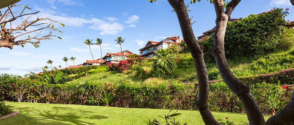 Garden View Suite King Accessible 